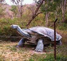 : The collection inside the park includes the mode : The collection inside the park includes the model of giant and large-sized animals such as four-horned giraffes, huge tortoises also the tusked elep
